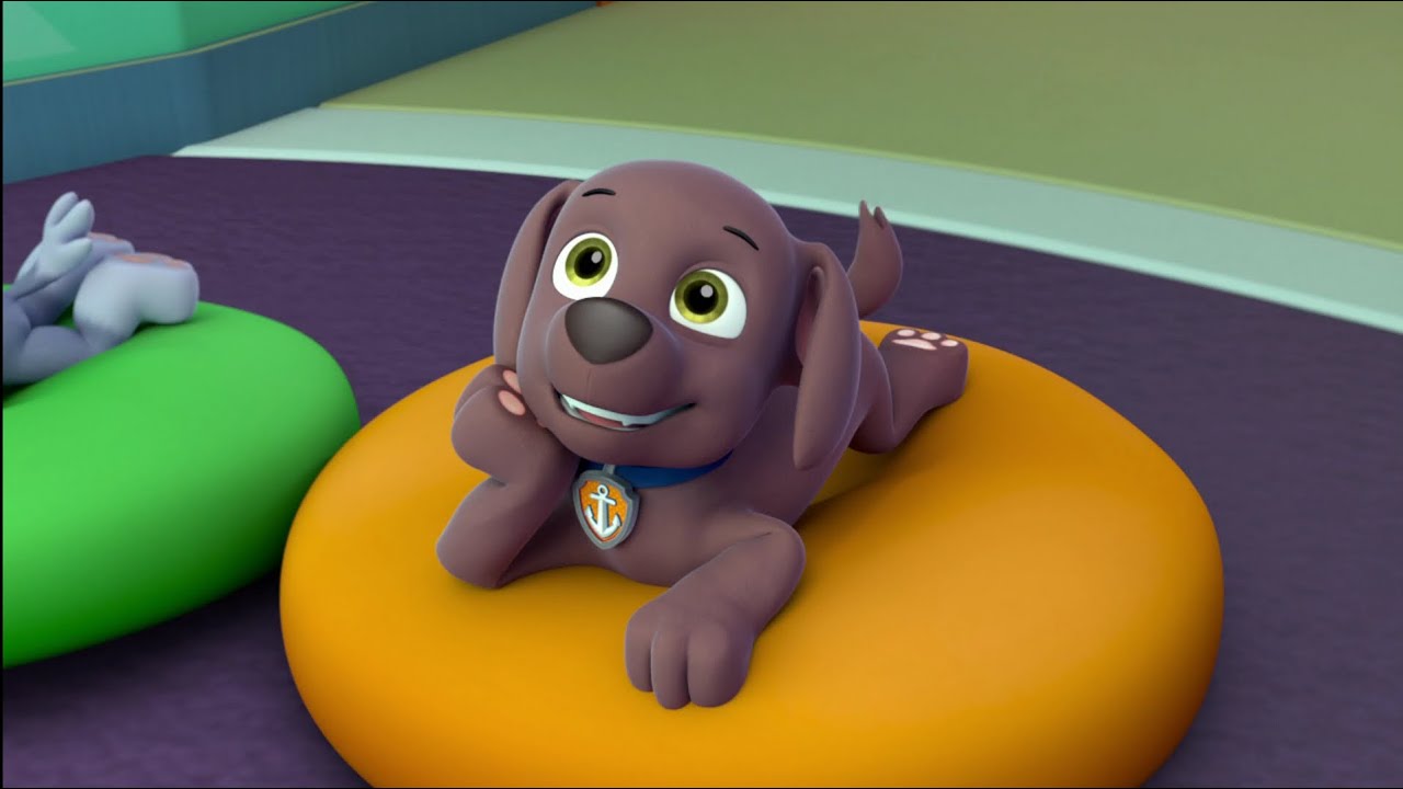 Ryder Calls Zuma - Paw Patrol