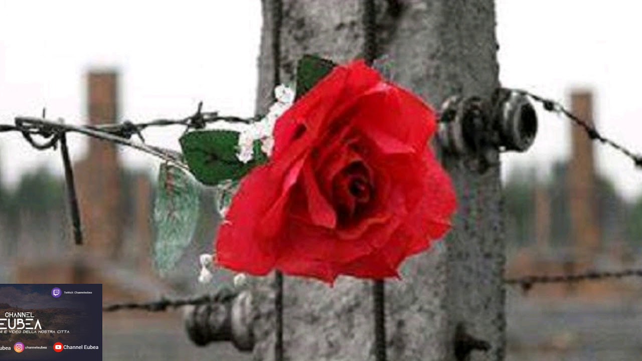 Gam Gam - Giornata della Memoria