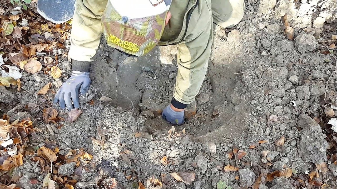 СХРОН Немецкого СОЛДАТА! Голубая линия. Коп по войне.