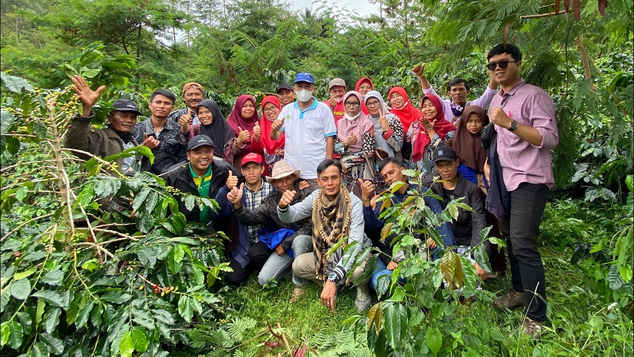 VLOG Team SEKOLAH LAPANG ( SL ) Kopi arabika Singgalang X Koto  goes to puncak pato