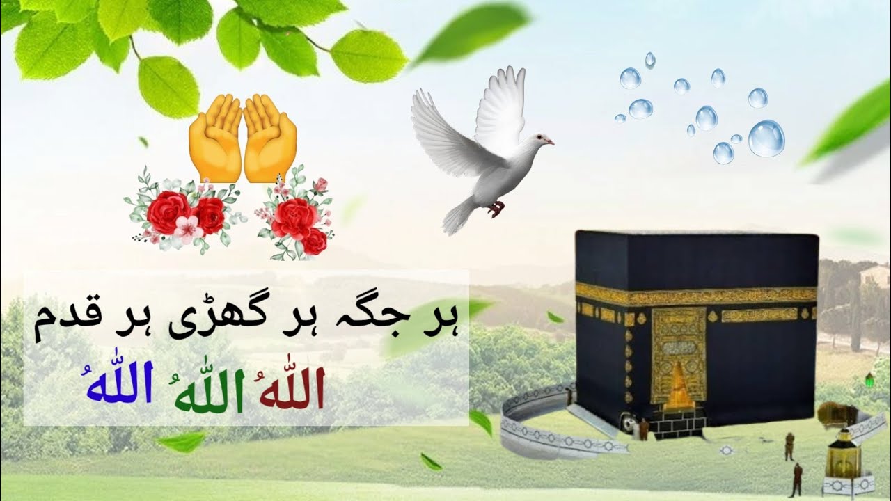 Hamd Shareef اللّٰهُ