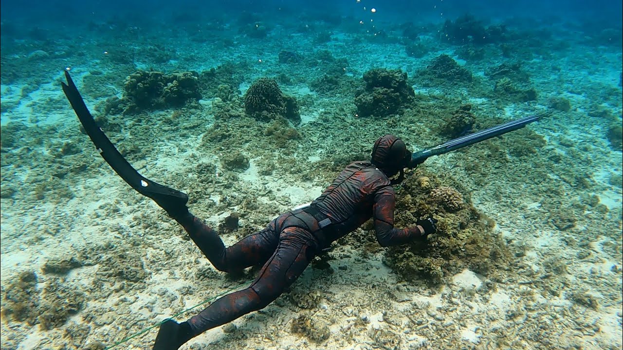 Spearfishing trip in cuatro islas (overnight) Catch &cook ||SPEARFISHING PHILIPPINES  