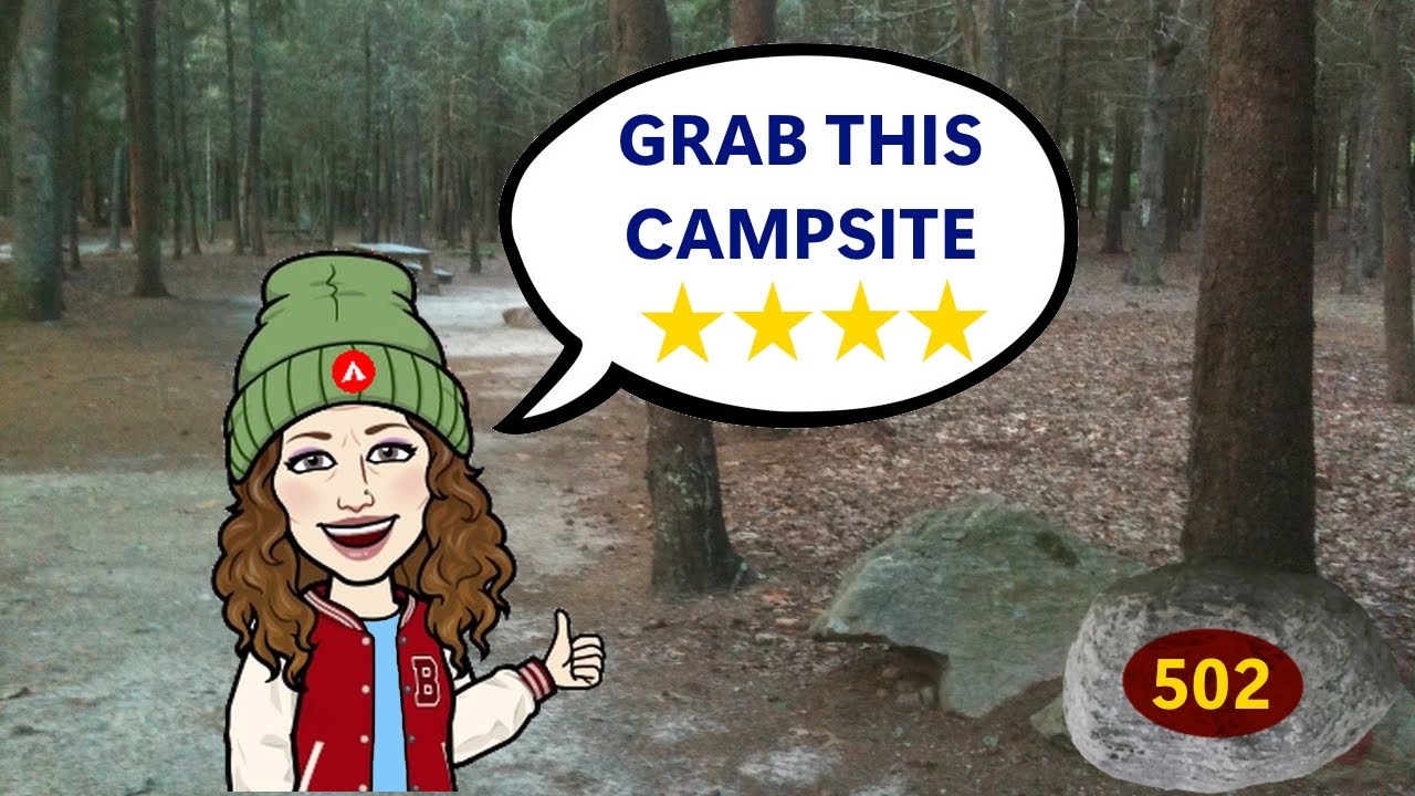 502 Burlingame State Campground Campsite