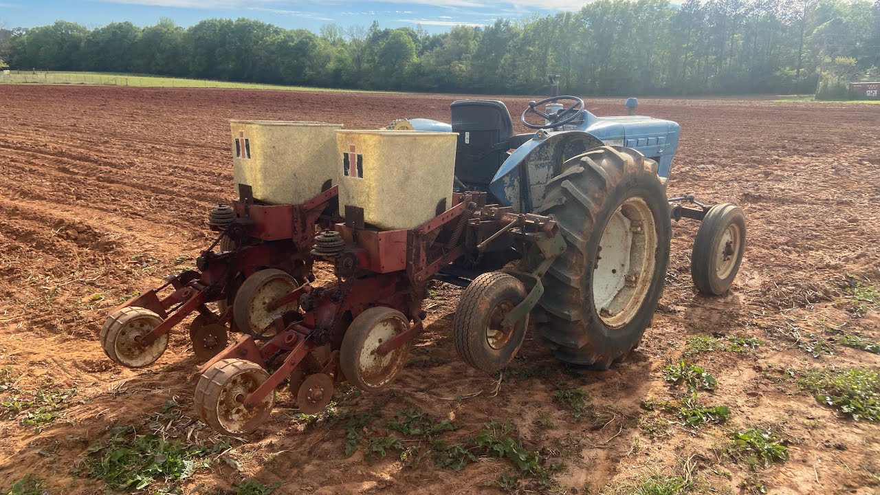 Planting The Produce Patch