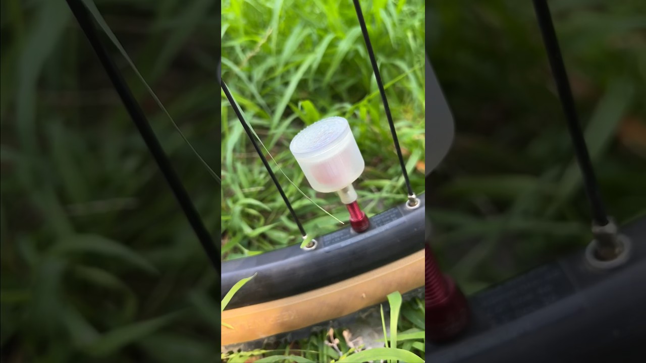 Valve stem snack holder! #mtbshorts #gravelbike