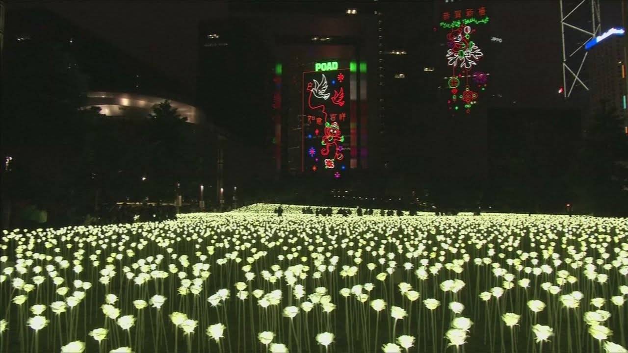 25,000 rose lights illuminate Hong Kong for Valentine's Day