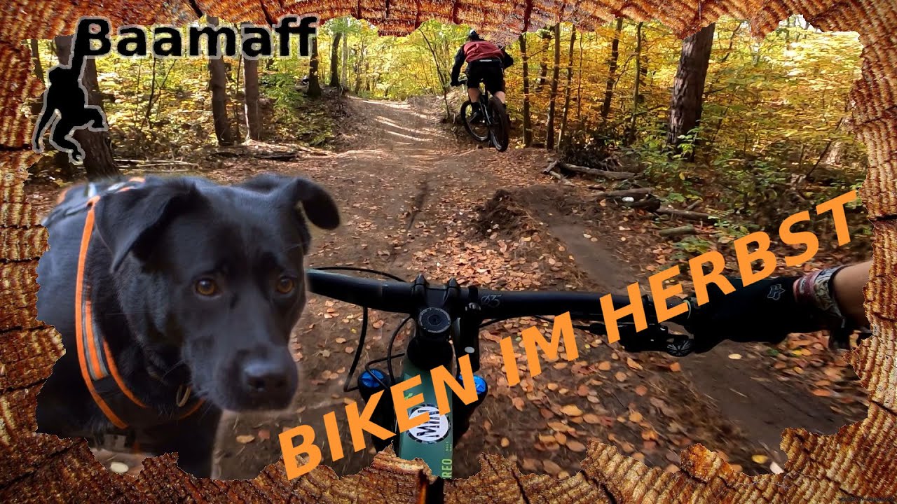 🤙Er zeigt mir seine Hometrails🚵‍♂️ - mit Traildog und Alex auf Tour in der DRESDENER HEIDE🐕🐒