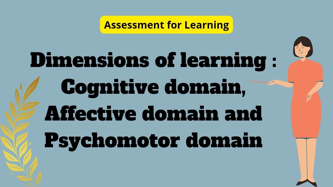 DIMENSIONS OF LEARNING | Cognitive Domain | Affective Domain | Performance Domain | The Vani Classes