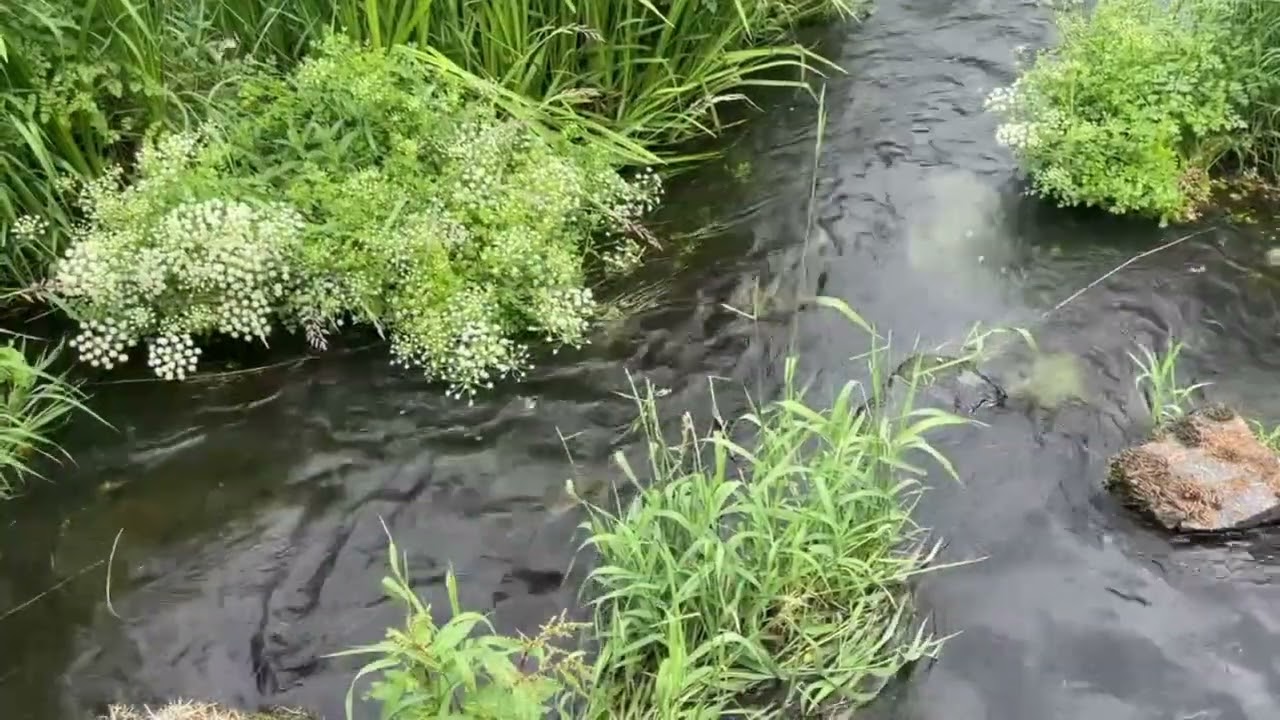 Home Seekers feat. JRR Tolkien