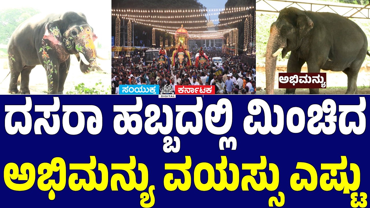 Mysuru Dasara 26: Captain Abhimanyu Elephant Age, Legacy & Golden Howdah Career | Samyukta Karnataka