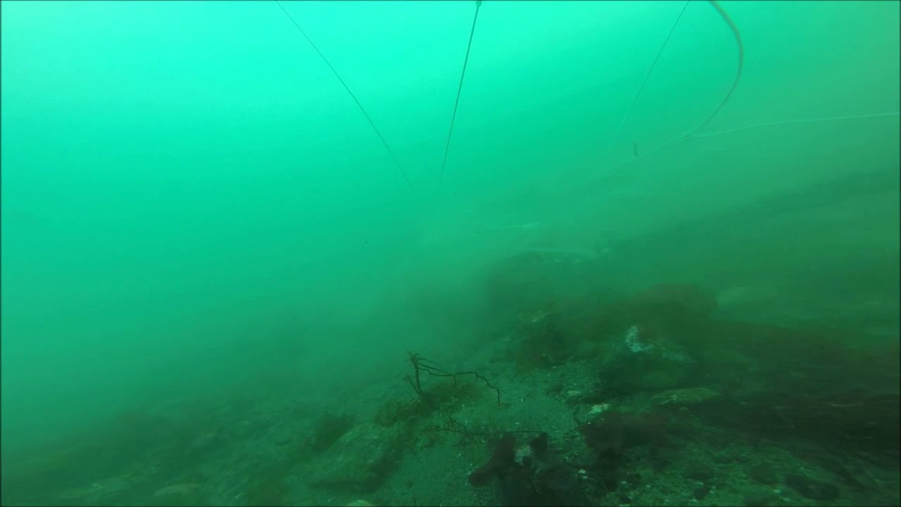 SUPER Sarca Anchor Setting Test. 2.5 to 1. Sand/Gravel Seabed. Video #48 of an ongoing series.