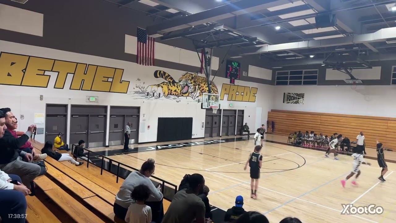 vs windsor