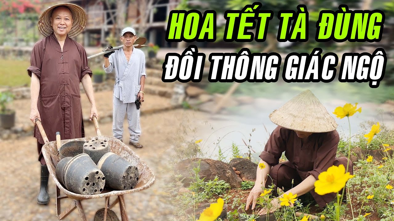 HT. Thích Chân Tính về Tà Đùng trồng hoa Tết TUYỆT ĐẸP đón chào năm mới 2024 !