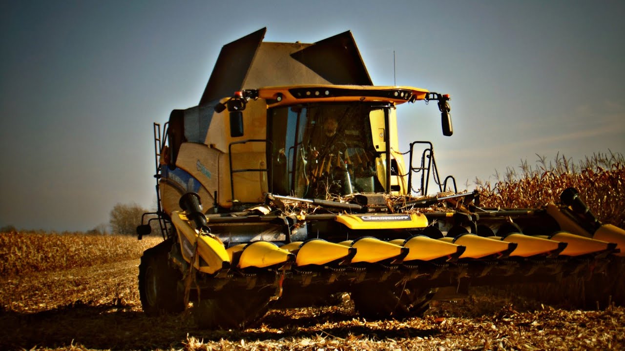 🇵🇱Jesienne manewry czyli... Kukurydza na ziarno z firmą Mirex! New Holland CX 8.90