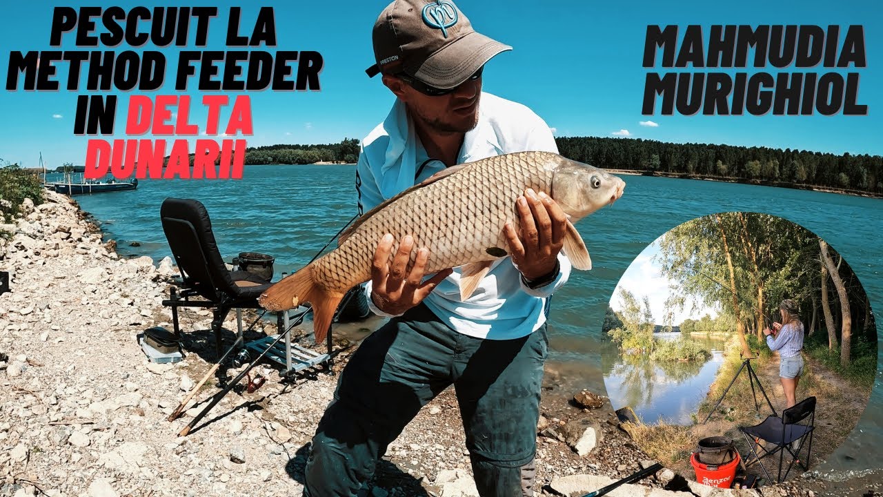 Pescuit la Method Feeder Delta Dunarii: Mahmudia - Murighiol