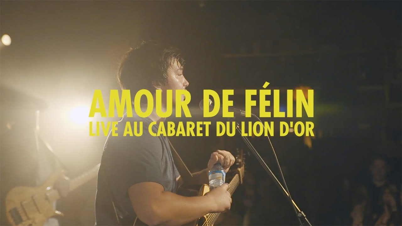 Émile Bilodeau - Amour de félin [version live]