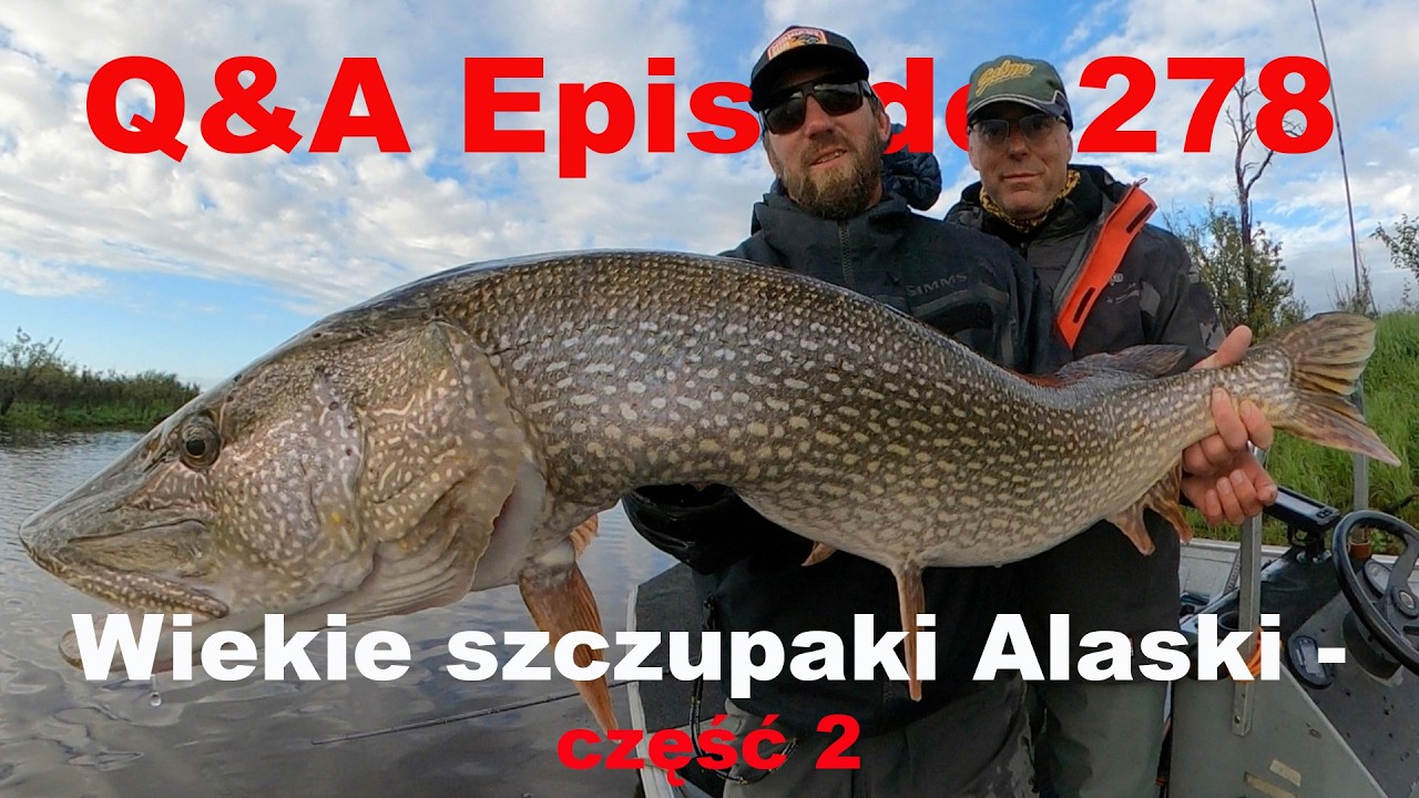 Q&A odcinek 278 - Alaskańskie szczupaki - część 2.