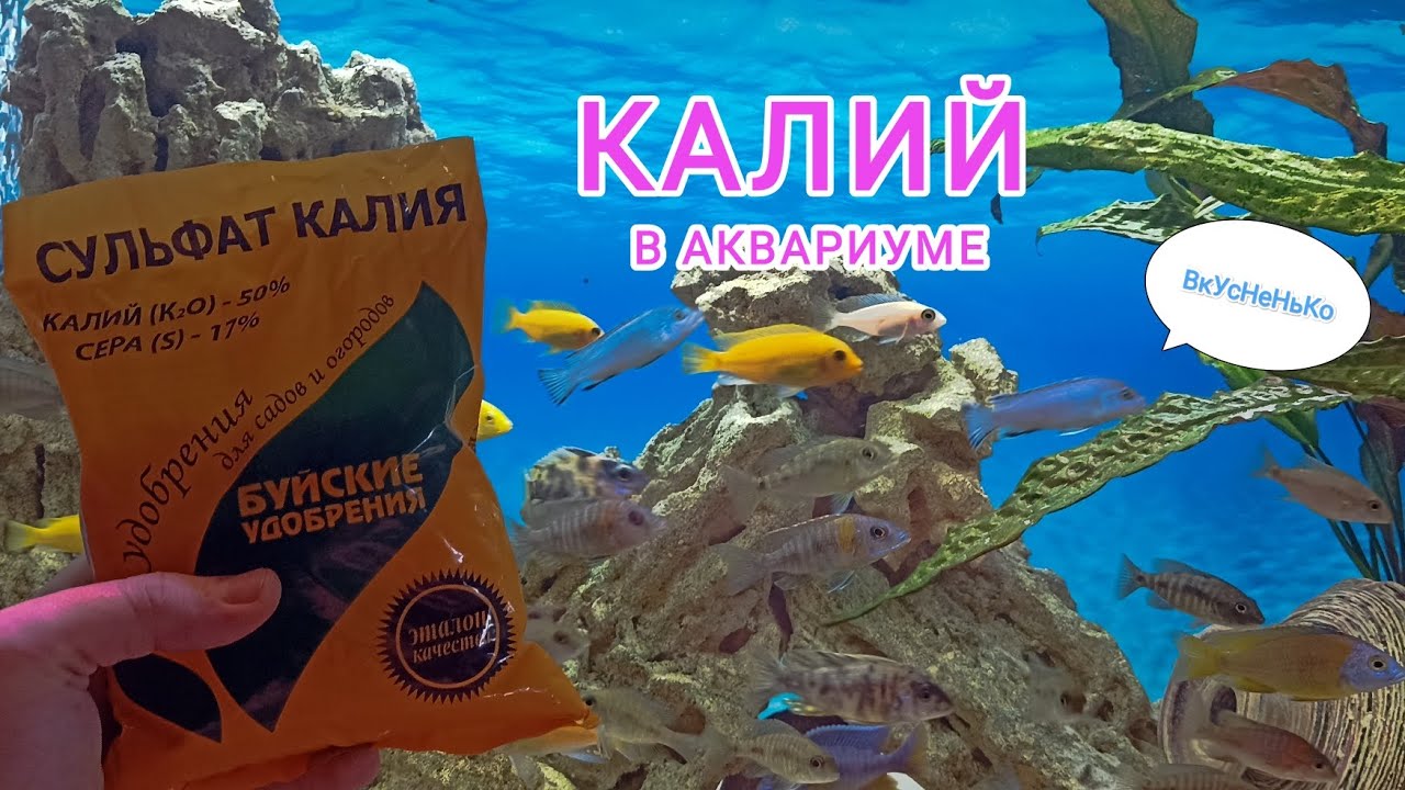 😱😰САМОМЕС УДОБРЕНИЯ В АКВАРИУМ ФФ, КАЛИЙ😍😍😍