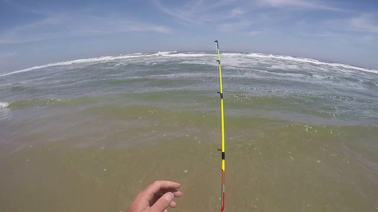 Meob Feb 2018. Steenbra on short rod.