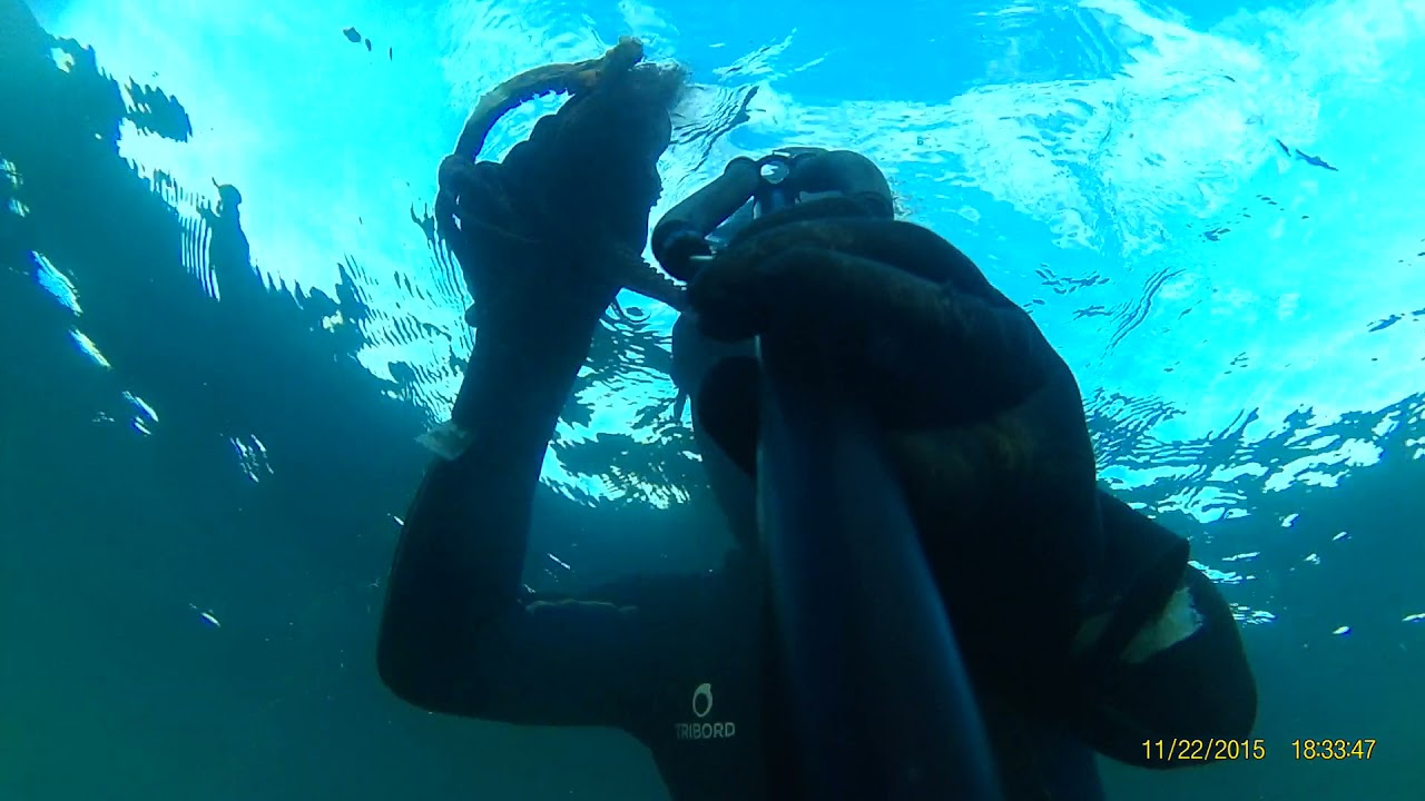 pesca Pozzuoli (1)