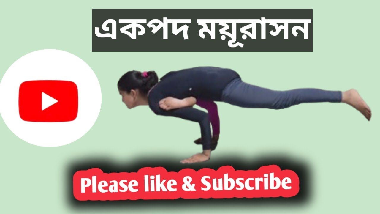Goureboti yog bayam / GYBPK/ একপদ ময়ূরাসন