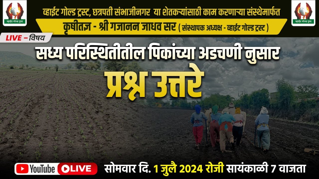 सध्य परिस्थितीतील पिकांच्या अडचणी अनुसार प्रश्न उत्तरे