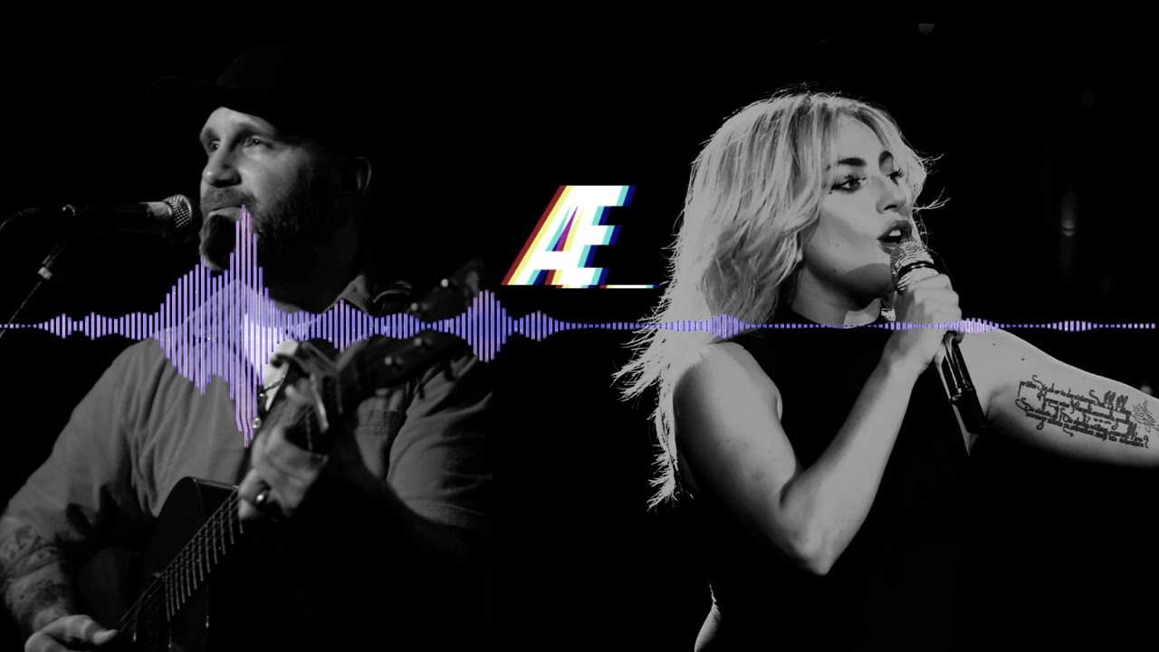 Mad Paparazzi (Gary Jules vs. Lady Gaga)