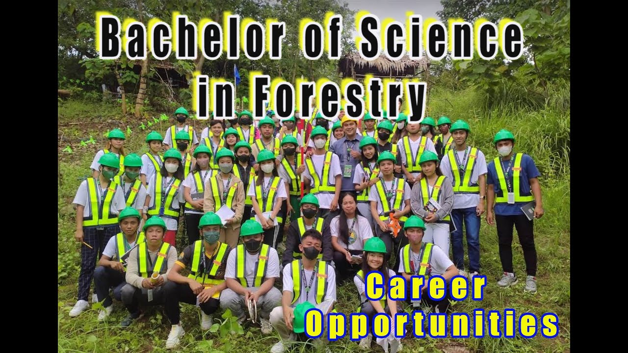 Bachelor of Science in Forestry || Career Tips #nature  #education #career