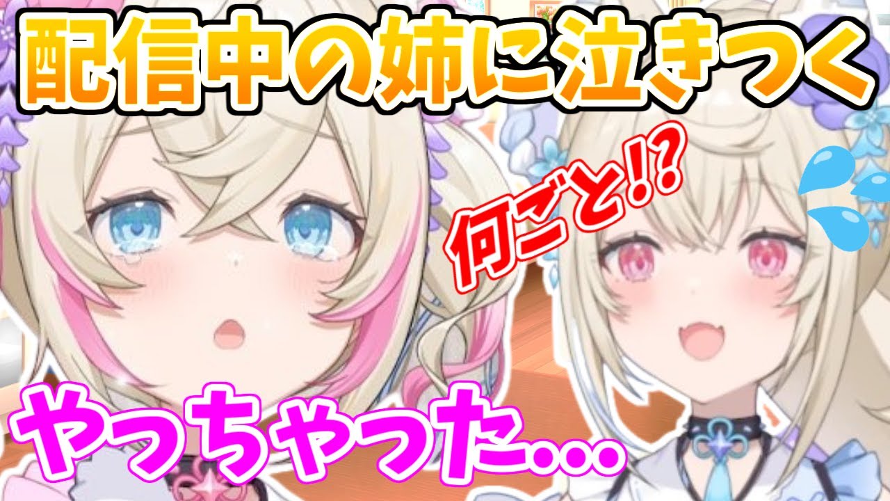 ソロ配信中のフワワの部屋に行き、助けを求めるモコちゃん【ホロライブ切り抜き/FUWAMOCO/フワモコ】