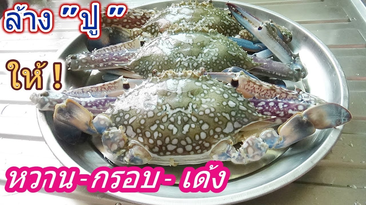 วิธี ล้าง '' ปู '' ให้เนื้อปู กรอบ.. นุ่ม.. หวาน.. เด้ง.. ไม่เหม็นคาว !!