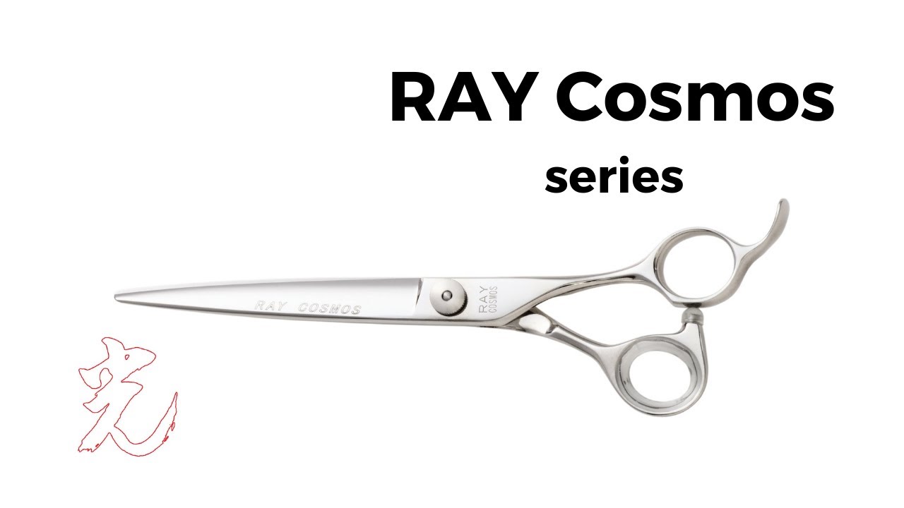 RAY Cosmos