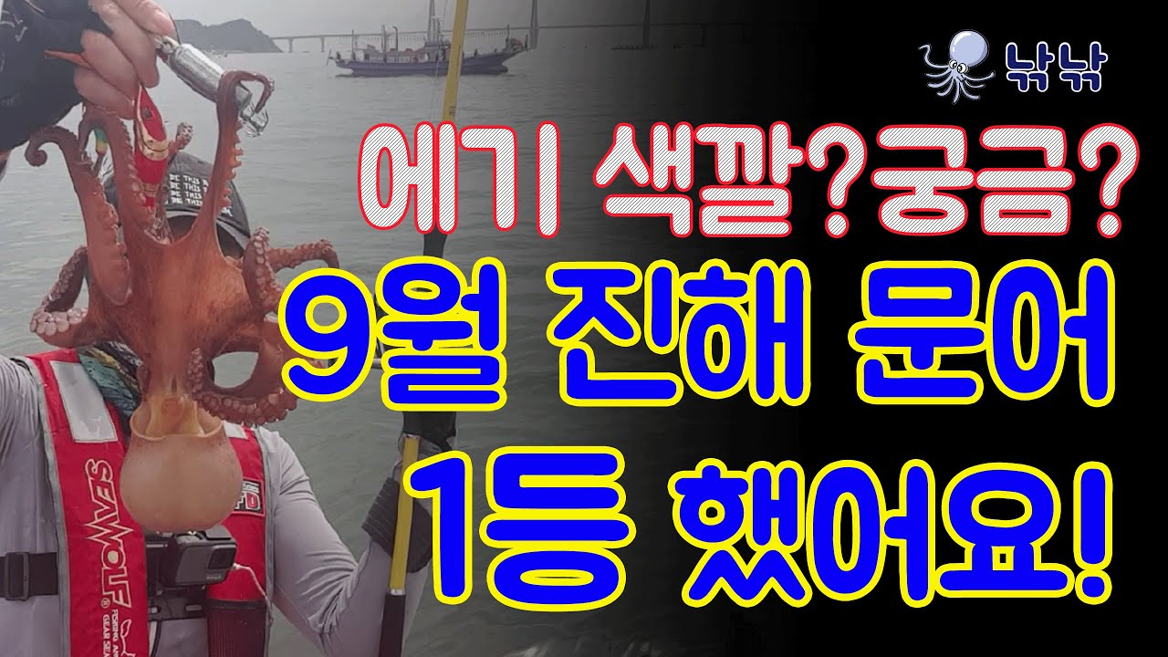 진해 선상 문어낚시에서 1등했어요! 주꾸미낚시 문어 선상낚시에 요긴한 에기 색깔 궁금하시면 클릭!  문어낚시방법 초보문어낚시 진해낚시