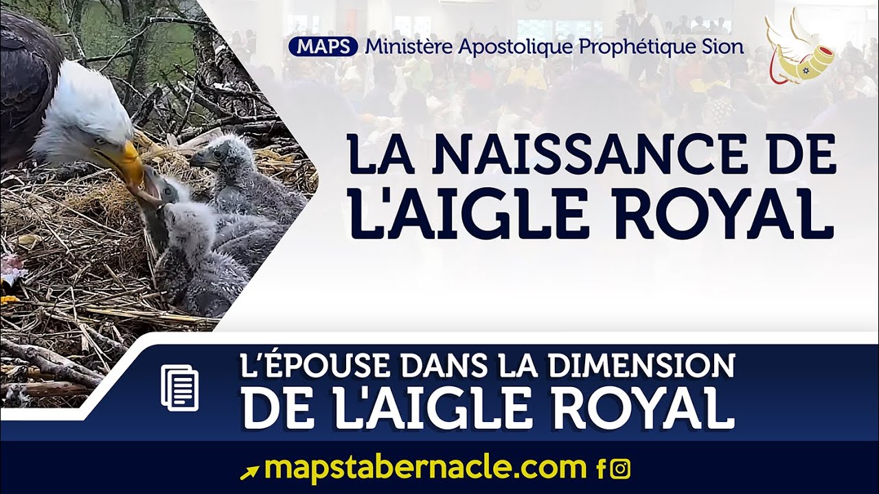 LA NAISSANCE DE L'AIGLE ROYAL