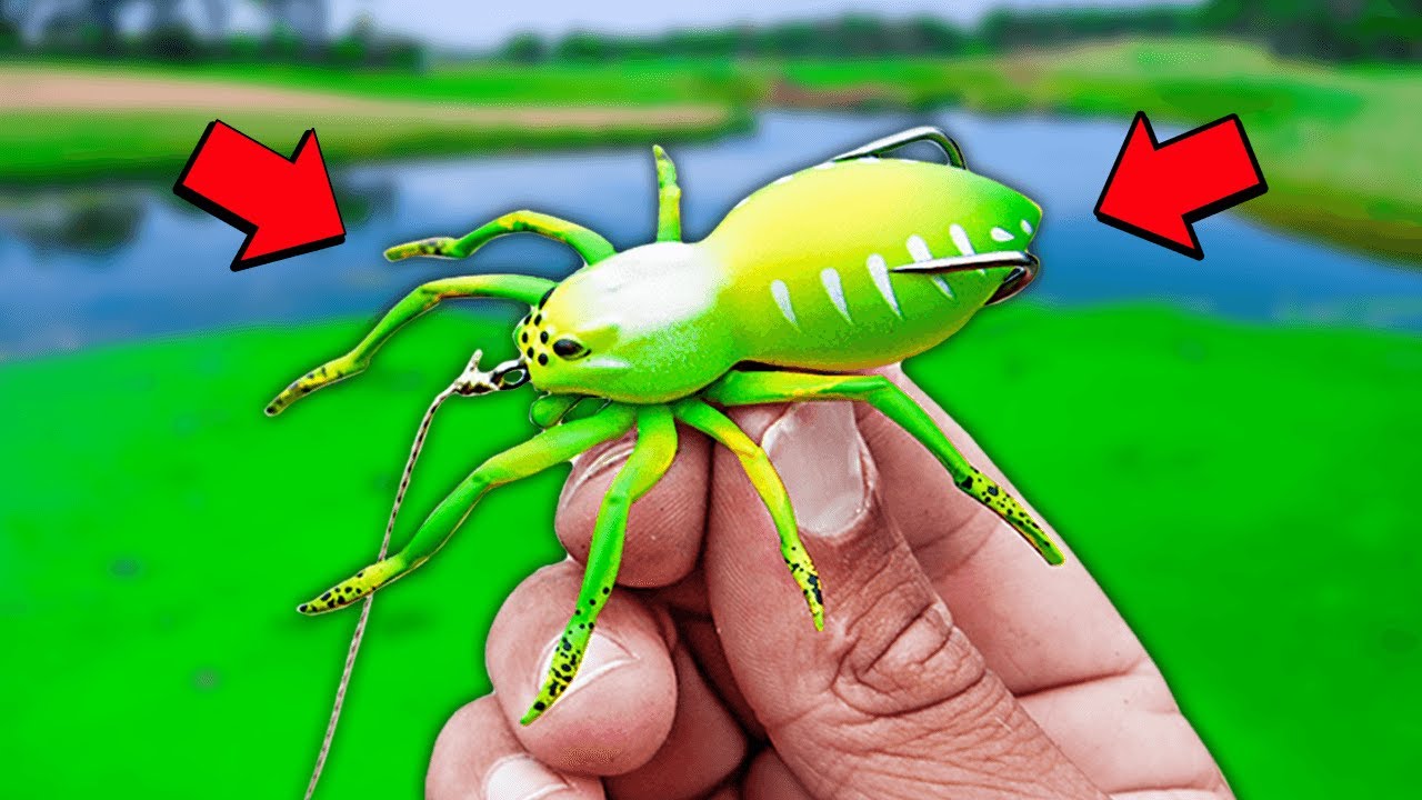 Fishing with a SPIDER! (Topwater)