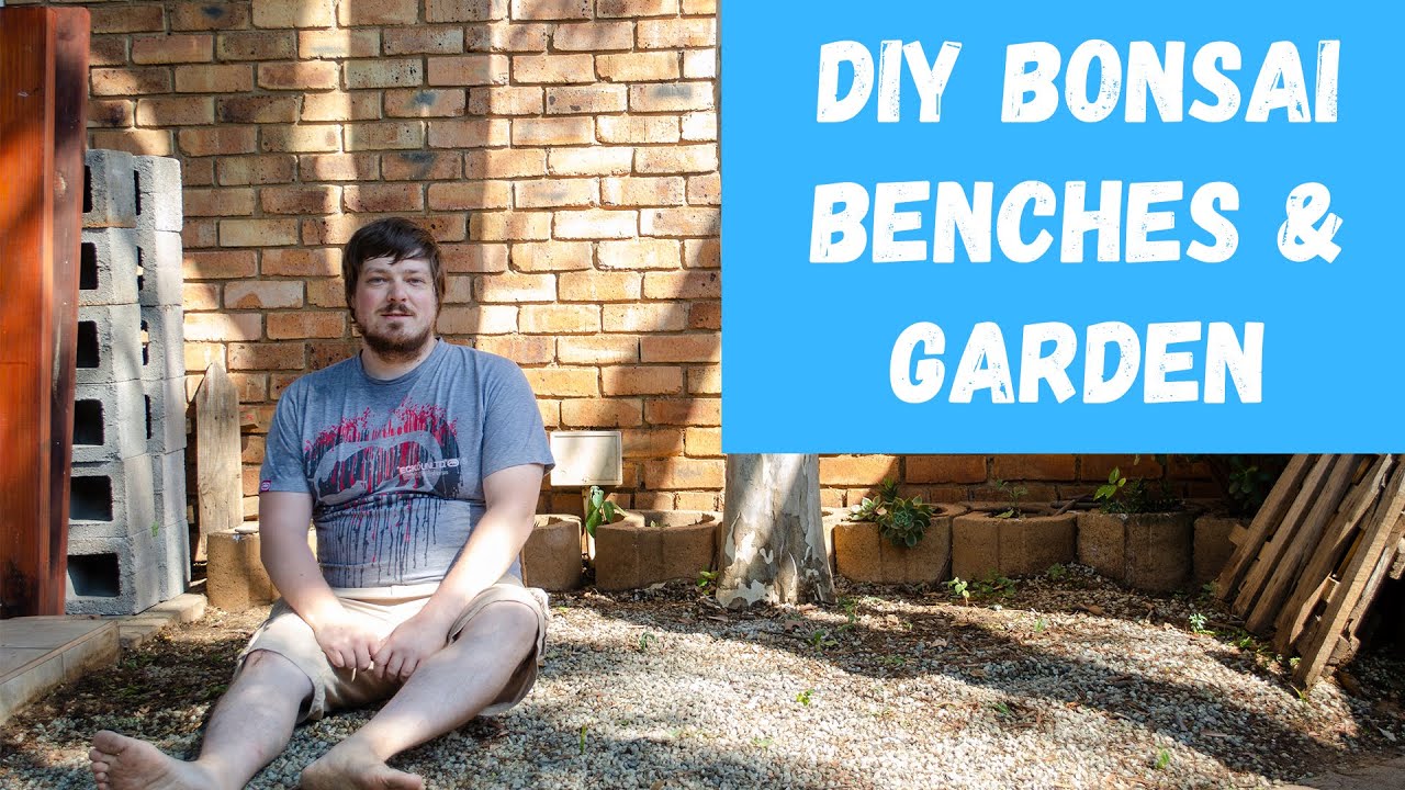 How to create a bonsai garden