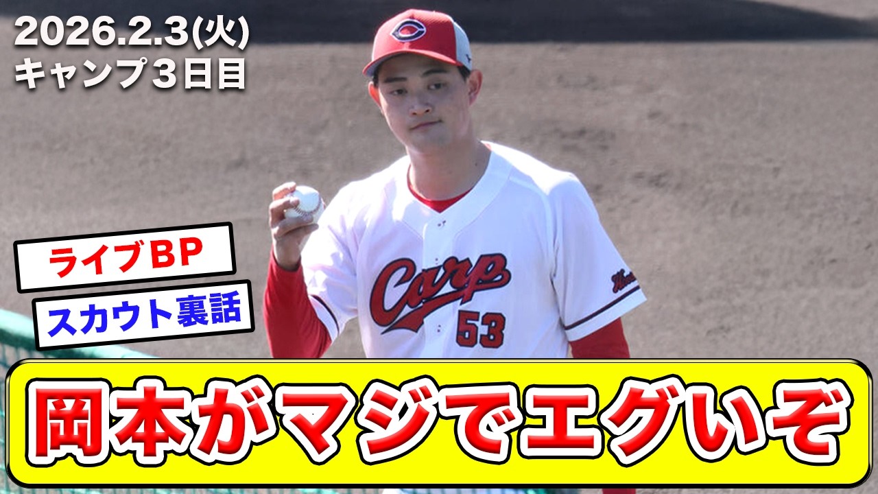 【広島】キャンプ３日目の感想。早めのライブBPで森浦、益田、高橋昂、高、岡本が登板！【カープ】【良し悪し】