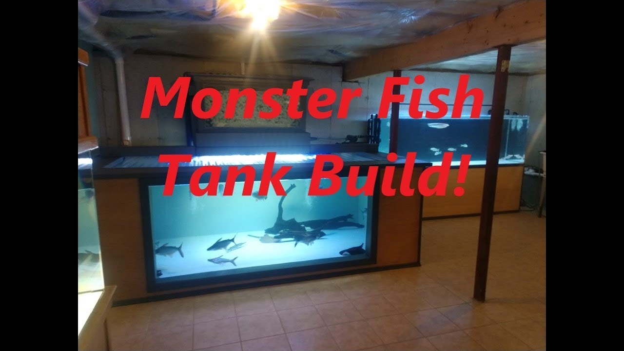 How I Built My 1100 Gallon Plywood Aquarium