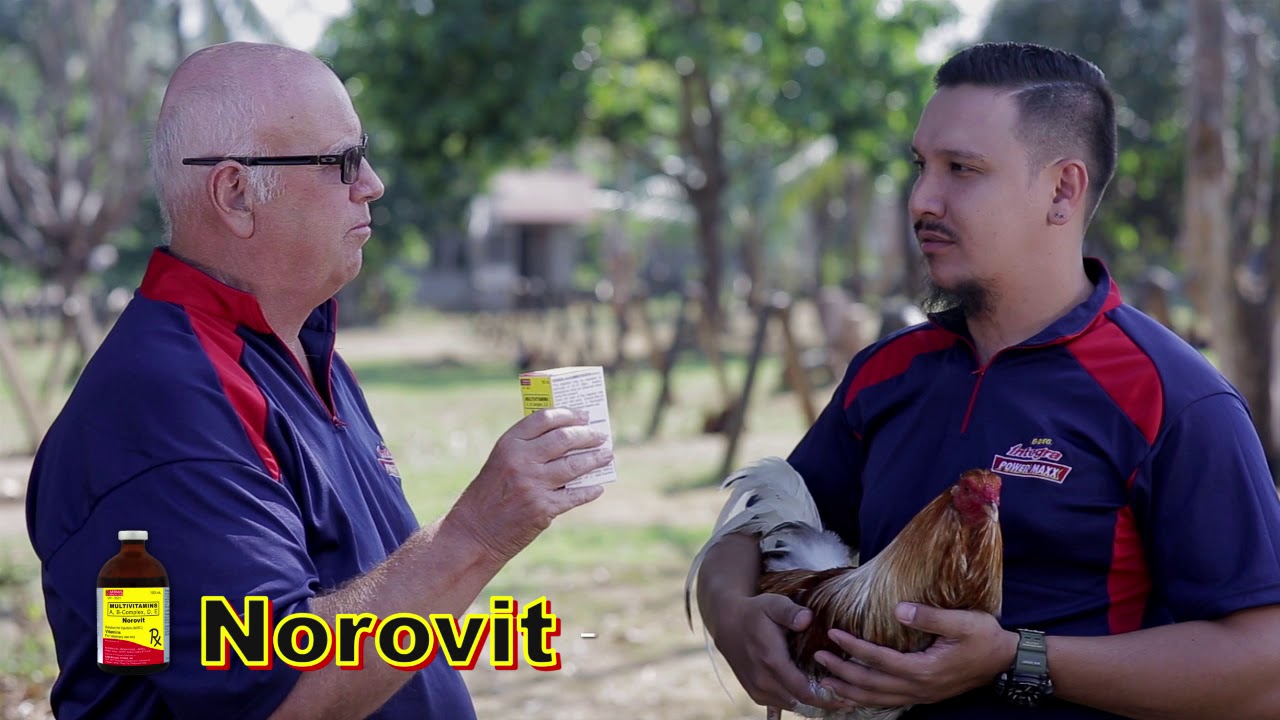 Norovit