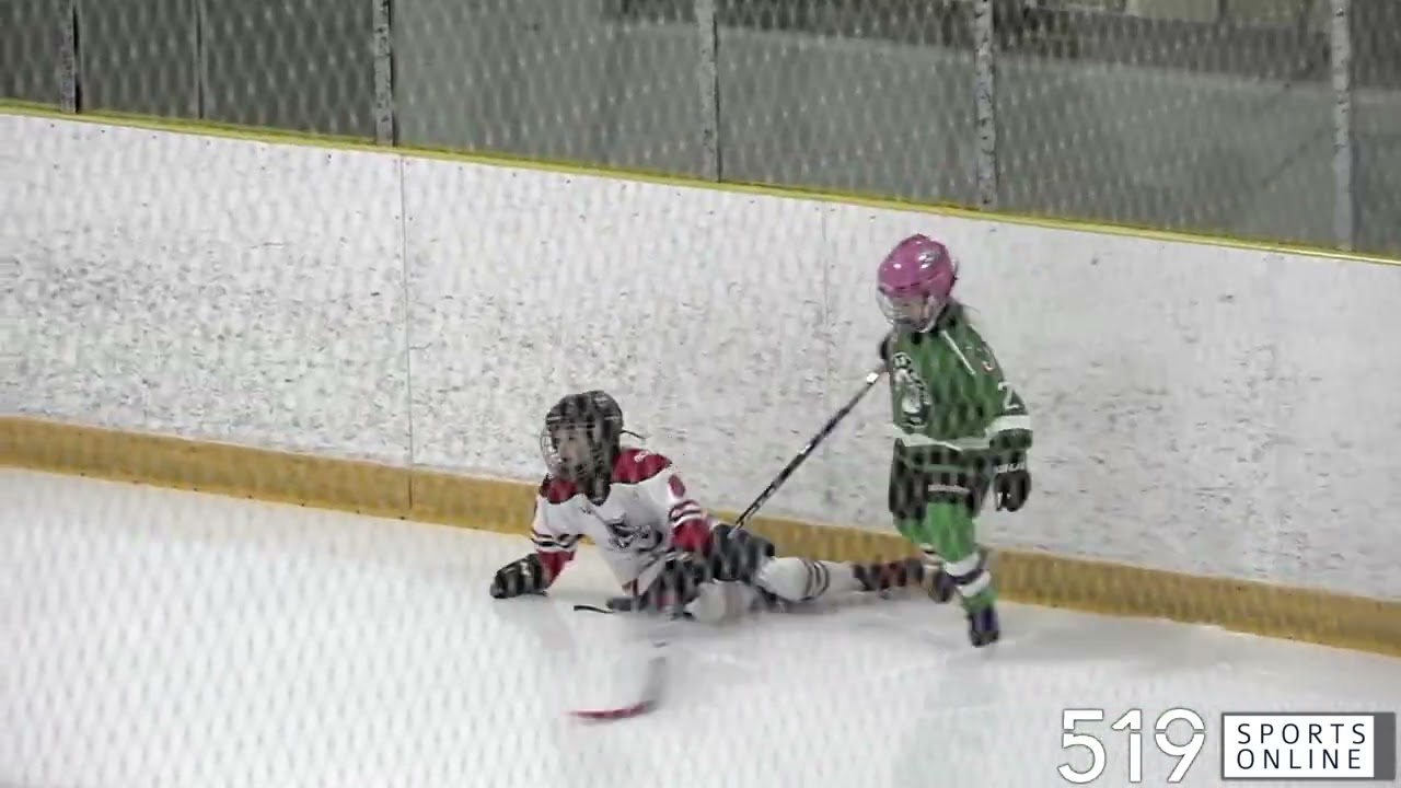 Under-9 Girls Hockey - Lucan Irish vs Stratford Aces