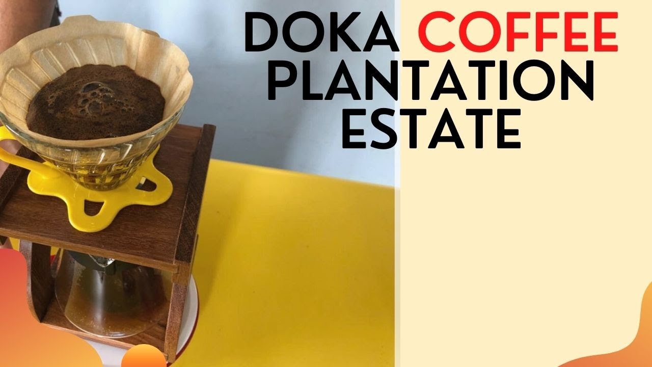 Doka Coffee Plantation Estate