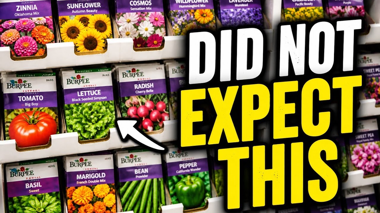 I Was NOT Expecting This at Walmart… 🌱 FULL Seed Aisle! Garden Center Walkthrough