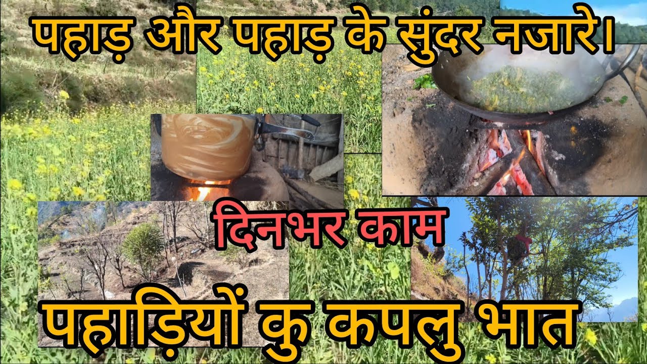 पहाड़िया और ये सुंदर वादियां।🤩😍
