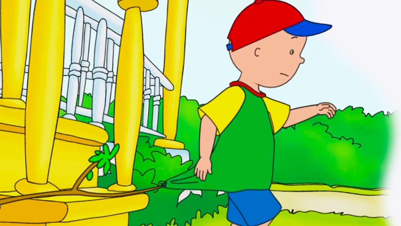 Caillou's Fail | Caillou Cartoon