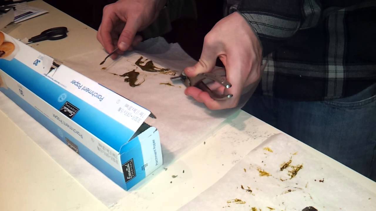 Scrape BHO