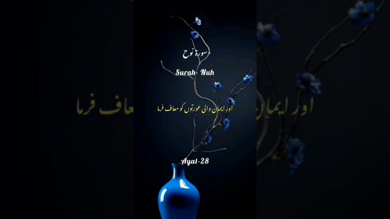 Islam#quran#tarjamah #qurantranslation #shortsvideo #fyp #muslimquran