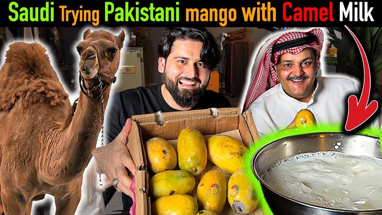 Pakistani 🇵🇰 mango Milkshake from Arabi Camel Milk in Saudi Village 🇸🇦. Taste was.....🤩🤩🤩
