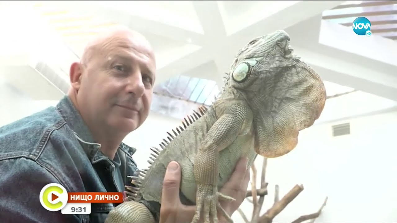 НИЩО ЛИЧНО: Докторът, който оцеля след ухапване от черна мамба