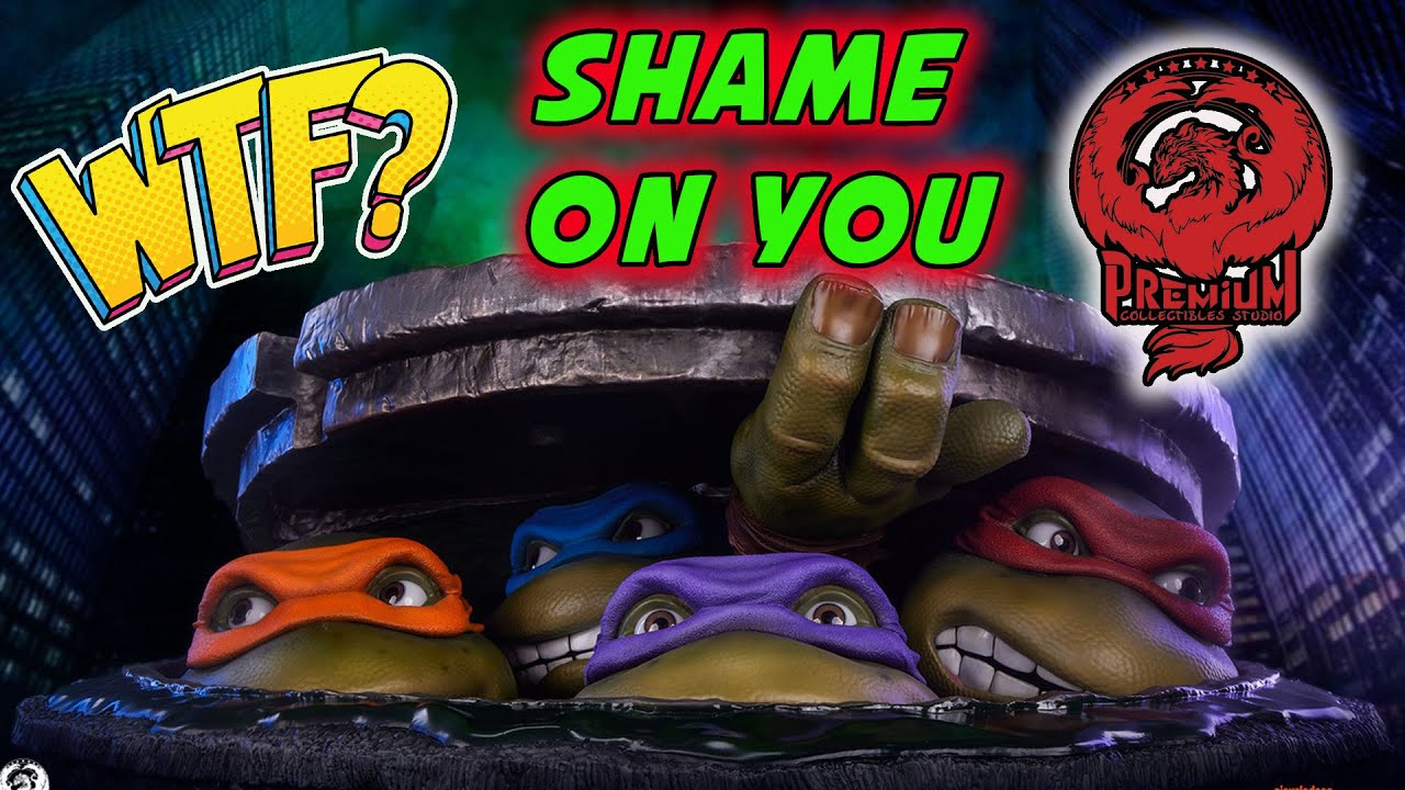 WTF PCS!  SHAME ON YOU! TMNT Diorama