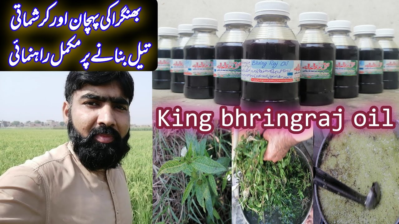 how to make bhringraj oil at home | best herbal oil for all hairs problems
