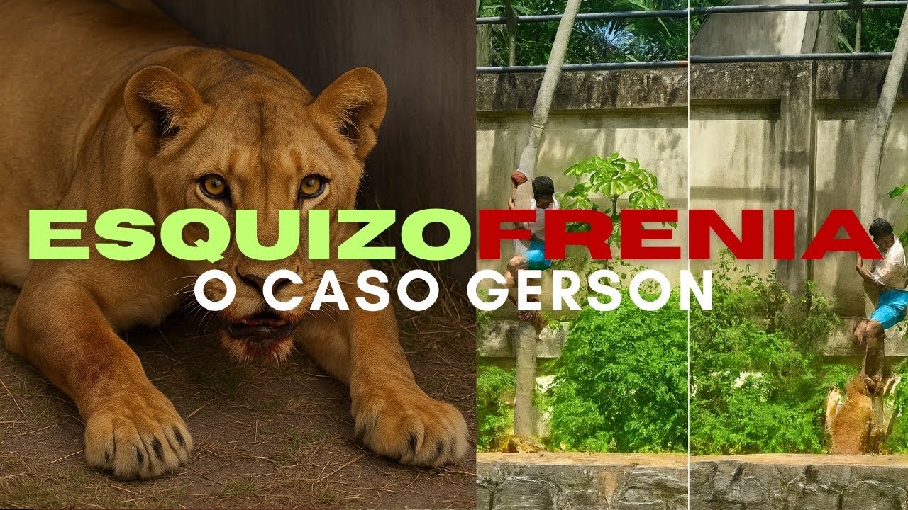 Jovem com ESQUIZOFRENIA invadiu jaula de Leoa - Psicólogo e Sociólogo explicam